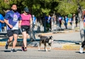 ¡Corre, convive y celebra! Todo listo para la Sexta Carrera de la Contaduría en Ciudad Juárez