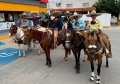 Celebran el Día del Charro con cabalgata en Ciudad Juárez