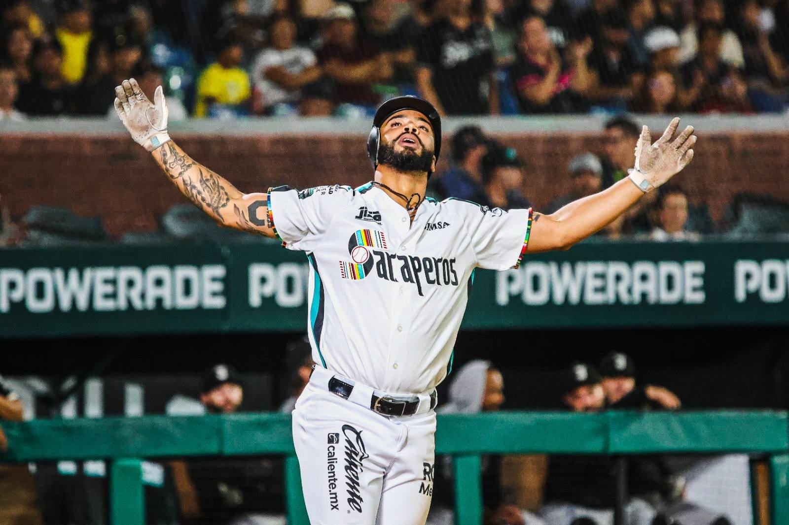 WhatsApp Image 2026-02-11 at 16.42.31