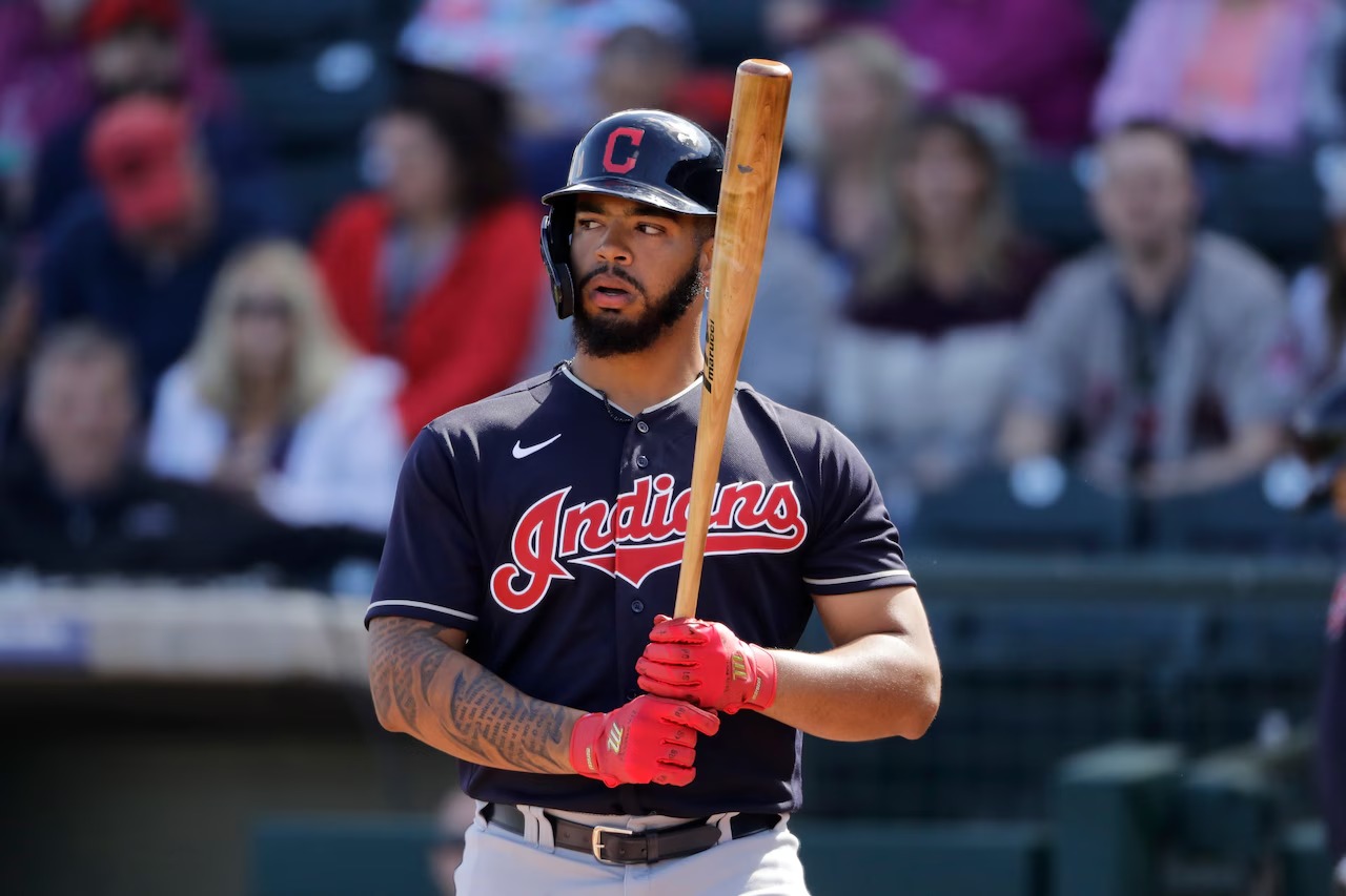 WhatsApp Image 2026-02-11 at 16.42.32