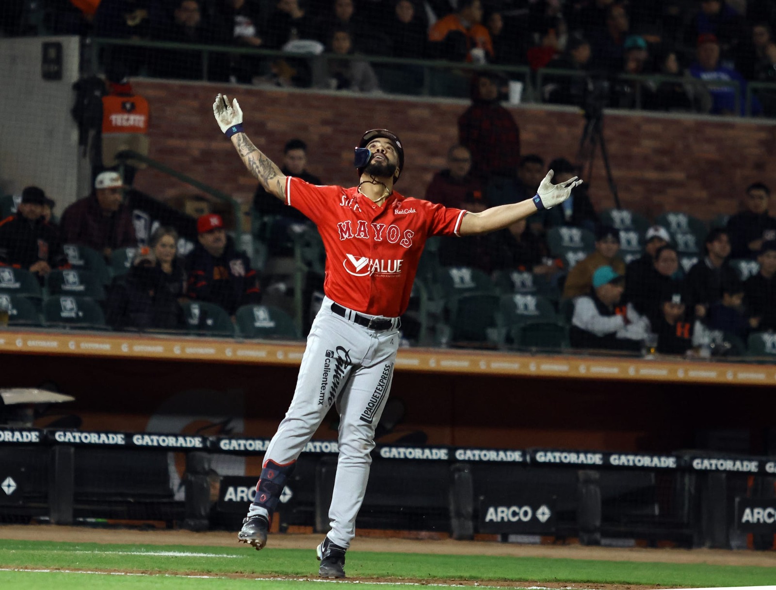 WhatsApp Image 2026-02-11 at 16.42.33