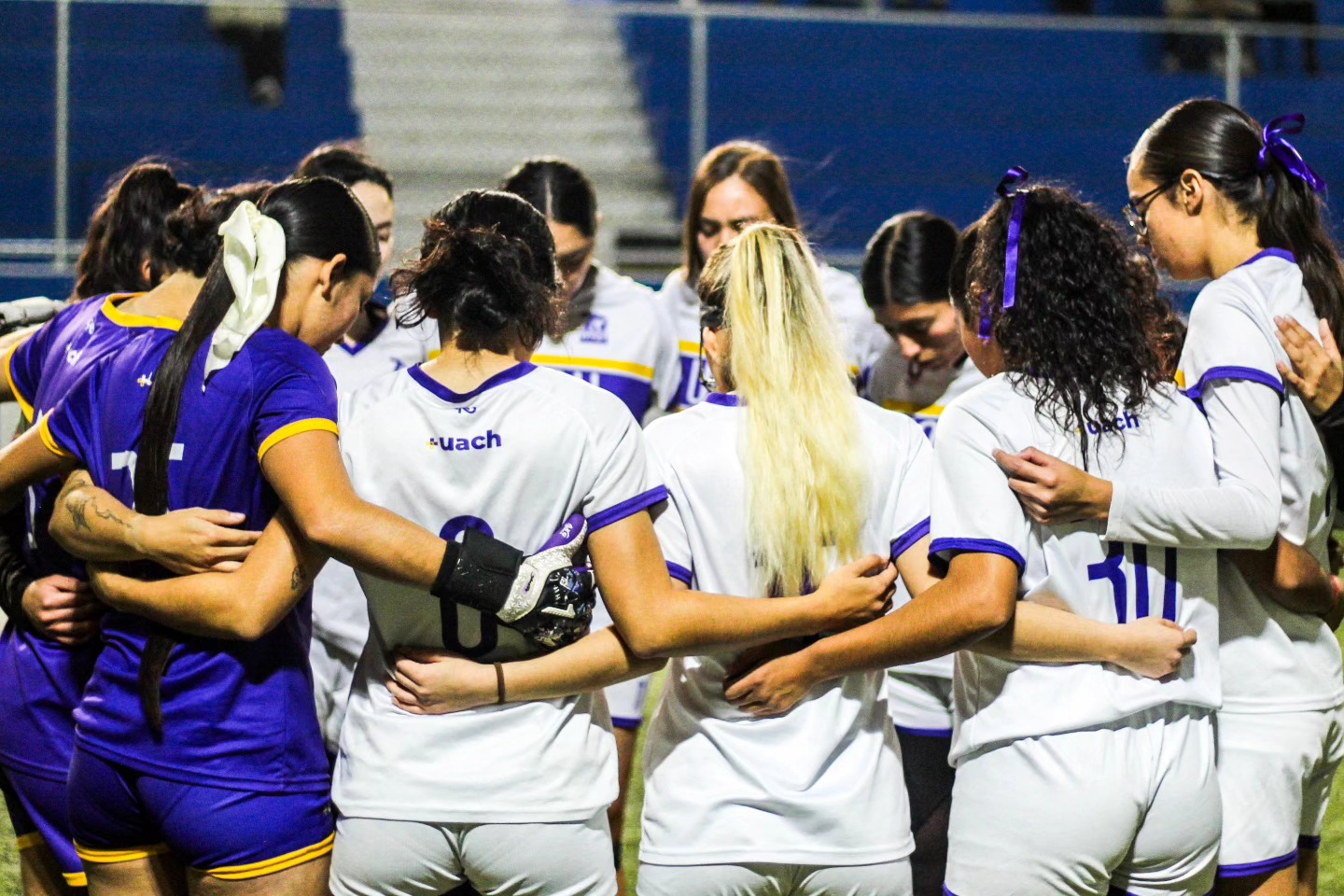 WhatsApp Image 2026-02-11 at 16.43.09 (1)